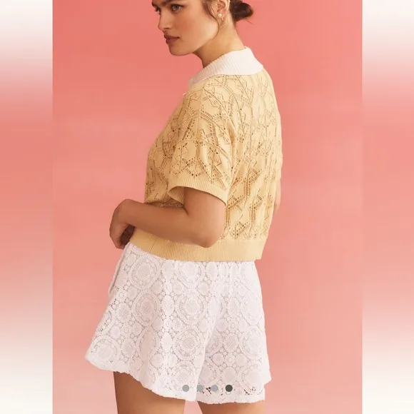 Anthropologie Skirty Shorts Size Small