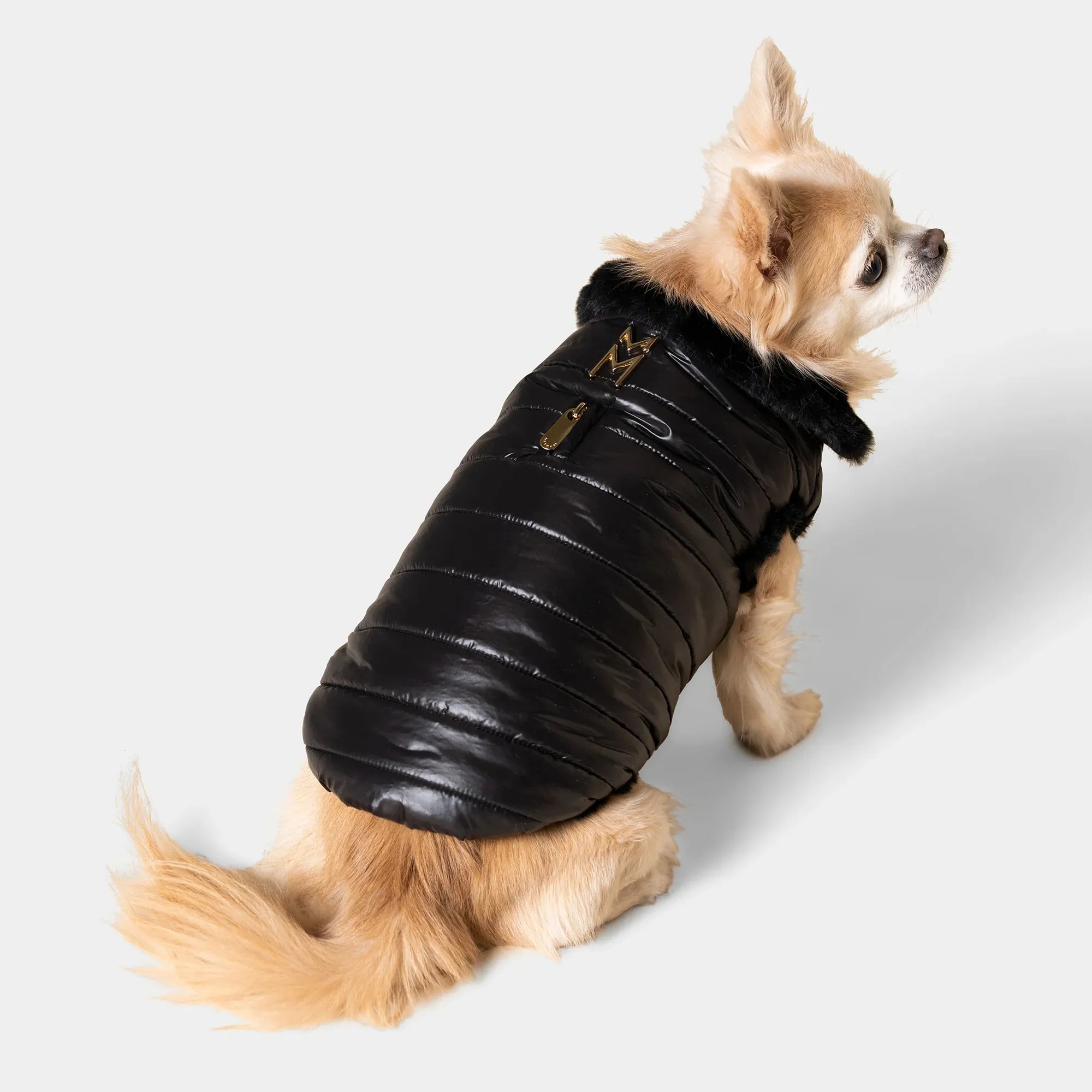 Cecchetti Dog Puffer Jacket