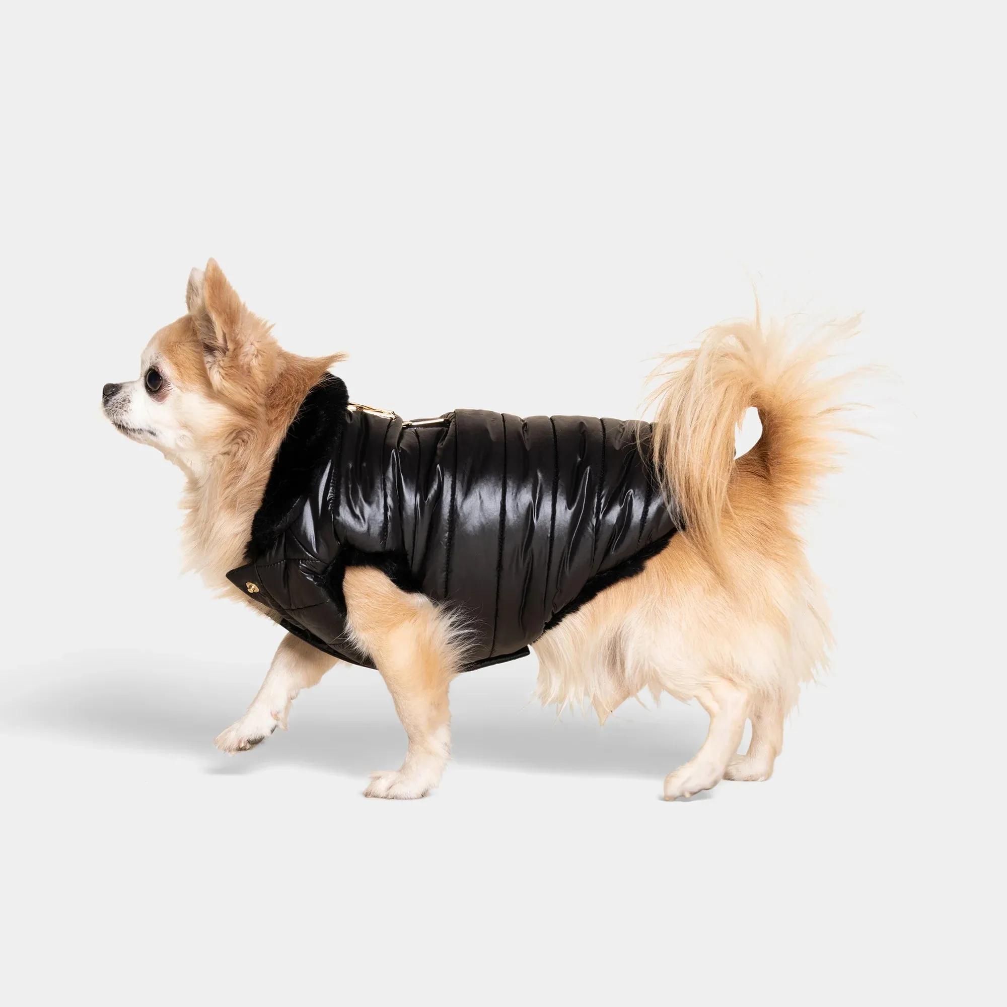 Cecchetti Dog Puffer Jacket
