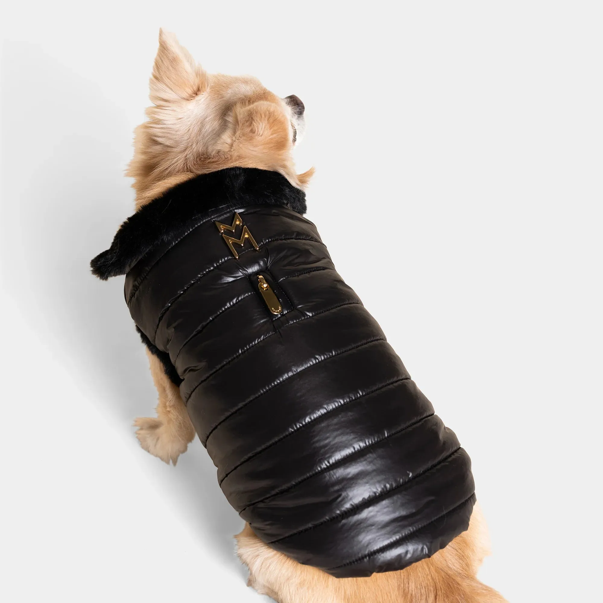 Cecchetti Dog Puffer Jacket
