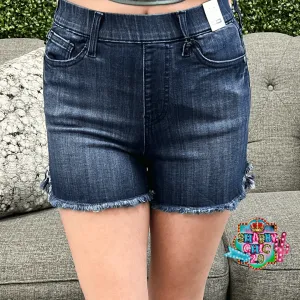 Judy Blue High Rise Dolphin Hem Shorts