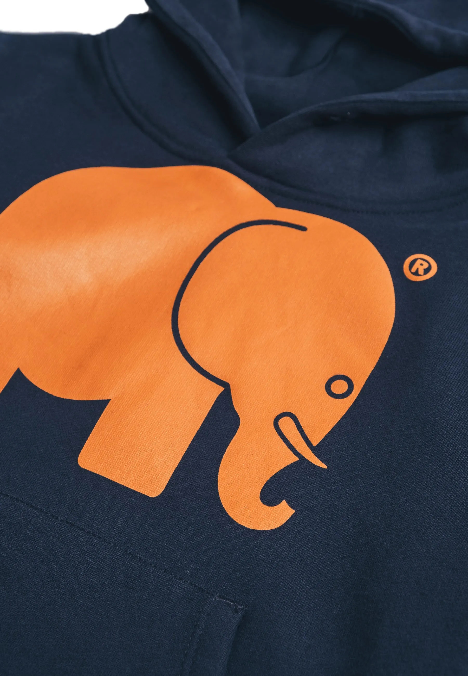 Kid's Organic Classic Hoodie Trendsplant Blue