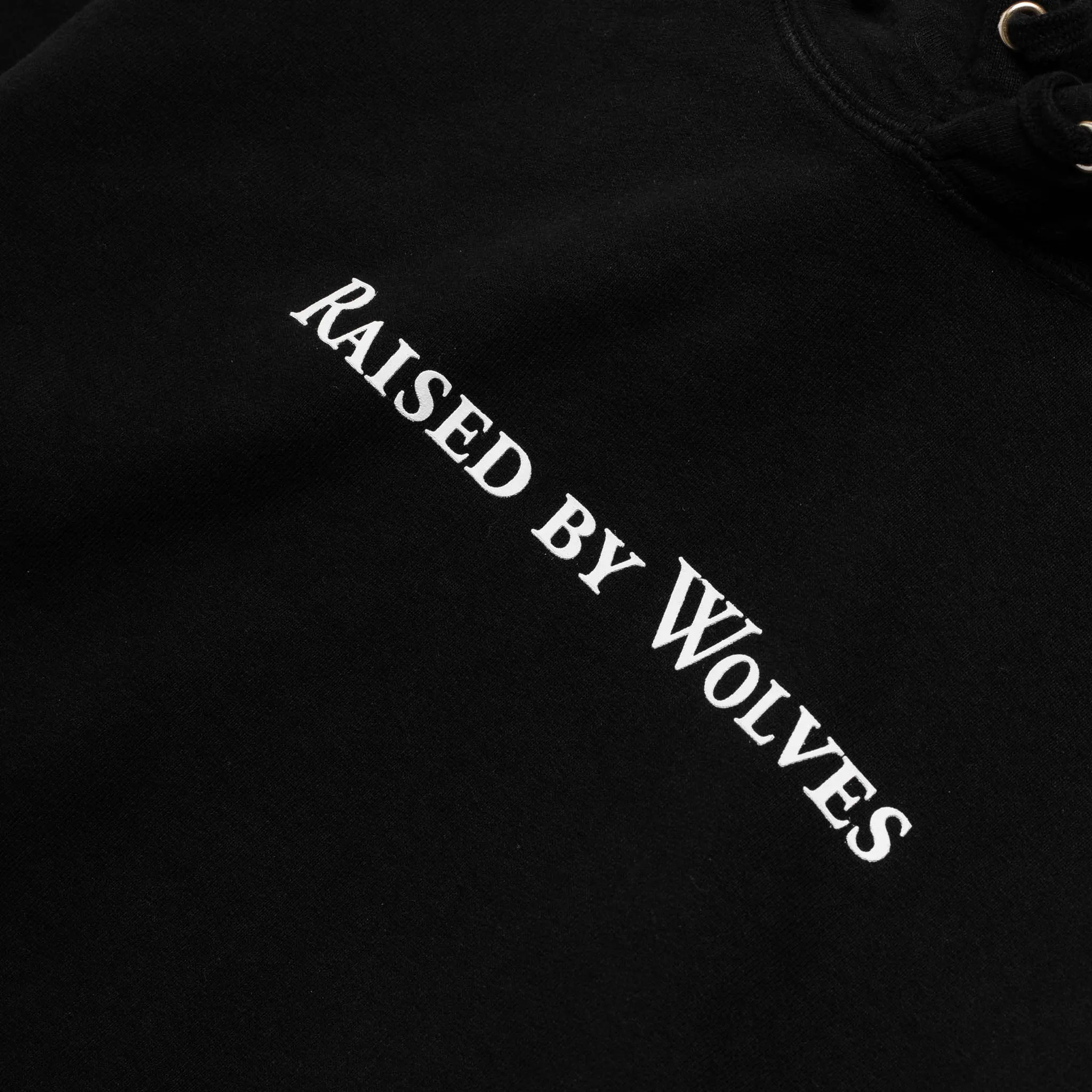 Logotype Hoodie F20402 Black