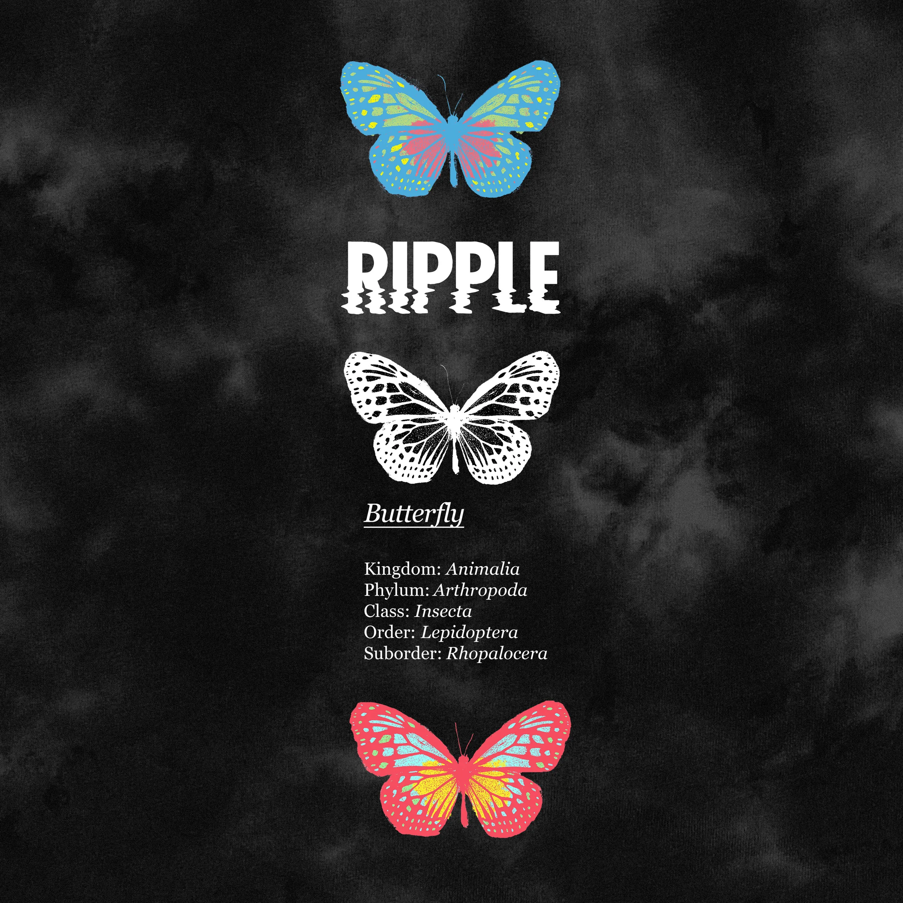 Ripple Butterfly Phylum Women's Leggings
