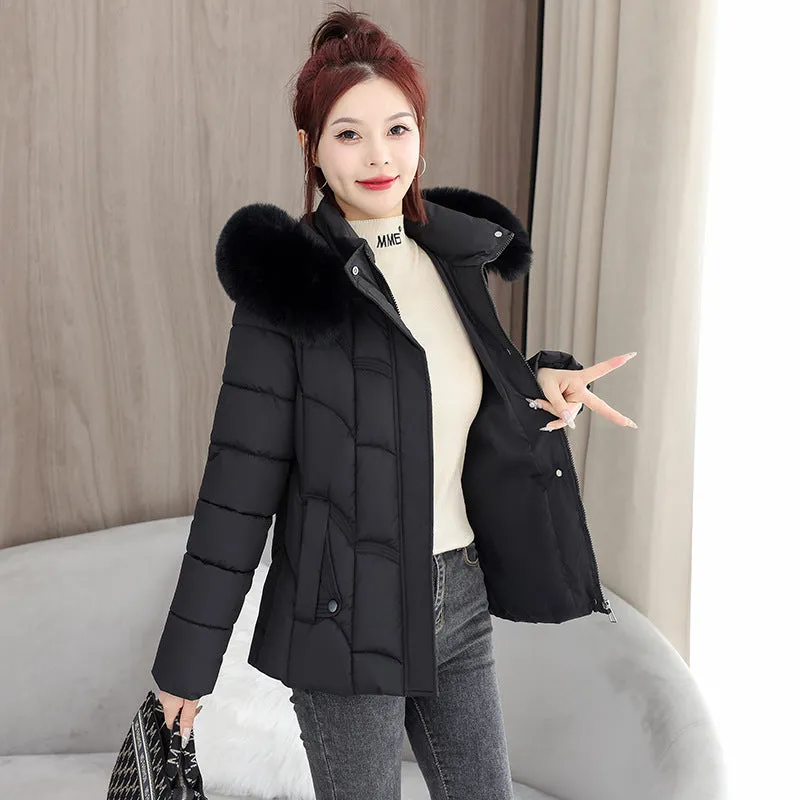 Solid Padded Quilted Puffer Jacket with Windproof Features