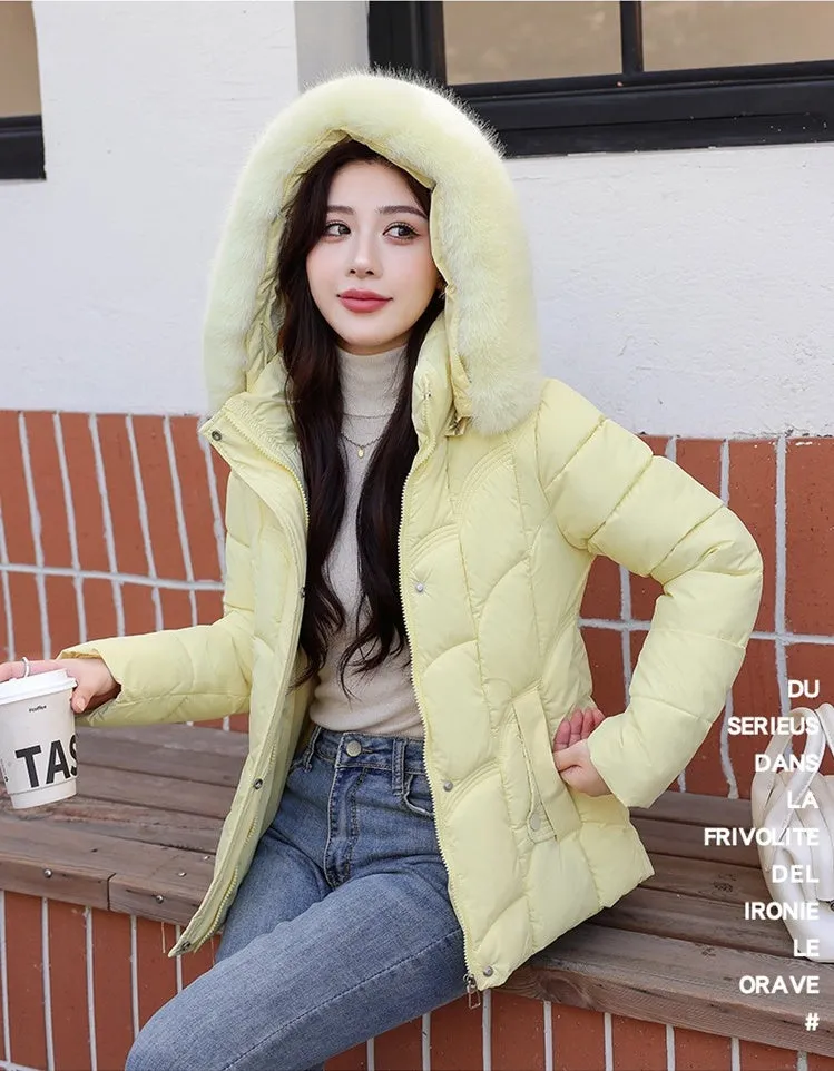 Solid Padded Quilted Puffer Jacket with Windproof Features
