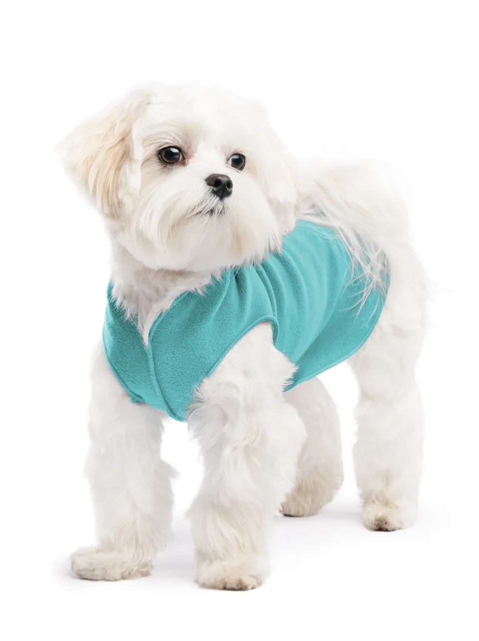 turquoise stretch fleece