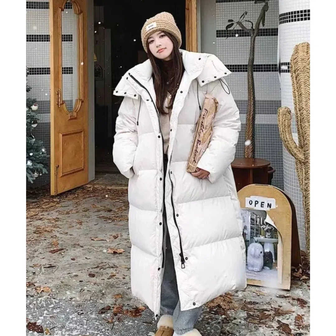 Women's Warm Winter Stylish Puffer Down Jacket | Hood